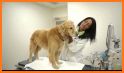 Heroes Veterinary Hospital related image