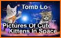 Cute kittens in space related image