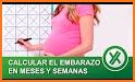 Conversor de Semanas a Meses de Embarazo related image