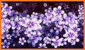 Purple Flower Wallpaper related image