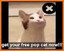 Pop Cat - Meme Clicker related image