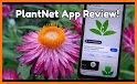 Free Plant Identifier : Plant Finder Camera related image