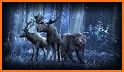 Deer Wallpapers related image