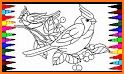 Bird Coloring Pages - Colorful Birds related image