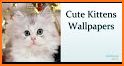 Kittens Lovely Live Wallpaper related image