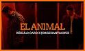 Animal Caro related image