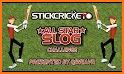 Cricket Stick related image