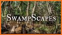 Swampscapes related image