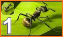 The Ants: Underground Kingdom related image
