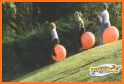 Hopping Ball related image