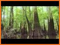 South Carolina State and National Parks related image