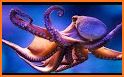 Octopus related image
