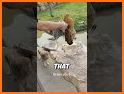 Zoo Care related image