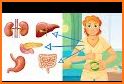 Cleanse Diet ( Detox Your Body - Body Cleanse ) related image