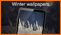 Winter wallpapers 4K related image