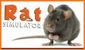 Home Rat simulator related image