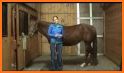 Healthy Horse - Determining a horse’s body weight related image