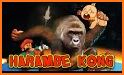 Harambe Kong related image