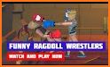 Ragdoll Wrestlers - 2 Player related image