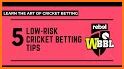 Cricket Betting 2020 related image