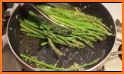 Asparagus related image