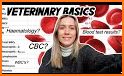 Vet Blood Tests Guide related image