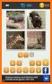1000 Close Up: Guess The Word From Zoomed In Pic! related image
