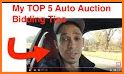Public Auto Auctions related image