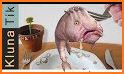 Blobfish related image