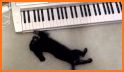 Cute Dog Keyboard related image