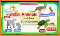 Montessori Vocabulary - Baby Animal Names related image