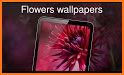 Flowers Wallpaper 4K related image