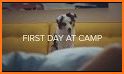 Puppy Salon - Pet Daycare related image