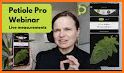 Petiole Pro: Plant Phenotyping related image
