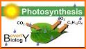Photosynthesis related image