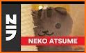 Neko Atsume: Kitty Collector related image