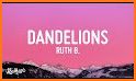 Dandelion related image