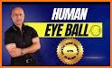 Anatomy Human Eye related image