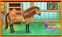 Horse Hair Salon related image