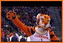 Mascot Madness - Bracket Builder related image