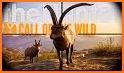 Wild Deer Hunter 2020: New Animal Hunting Games related image