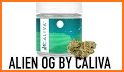 Caliva: Weed Delivery related image