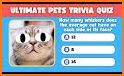 Pet Trivia Mansion related image