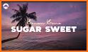 Sweet Sugar World related image