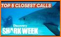 discovery+ | The Streaming Home of Shark Week related image