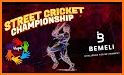 Street Cricket Champs related image