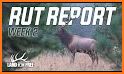 Wisconsin Rut Report related image