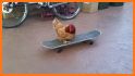 Chicken Skate related image