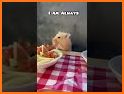 Hamster Biter related image