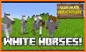 Horse Quest related image